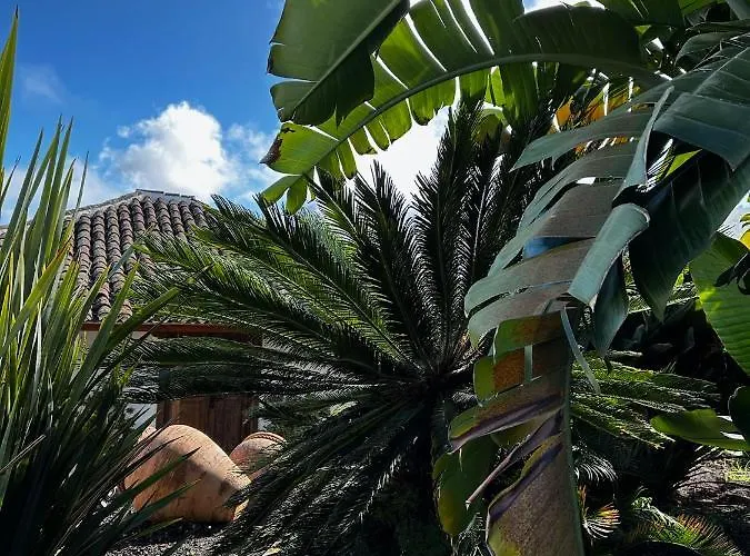 La Paredita Casa Guimar Appartement El Tanque