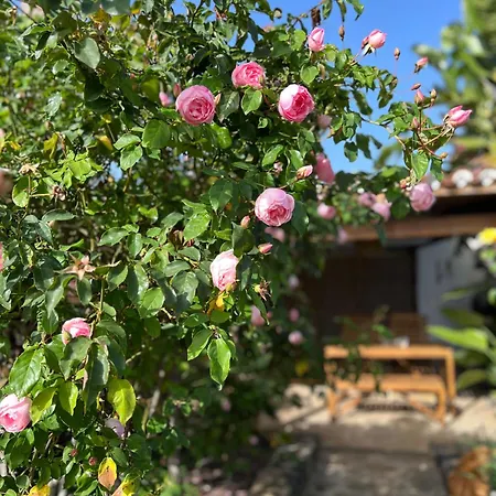 La Paredita Casa Guimar *