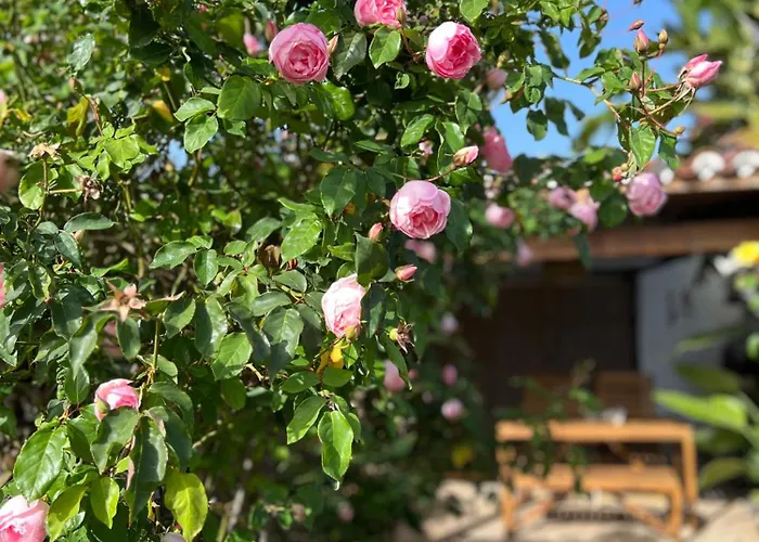 La Paredita Casa Guimar *